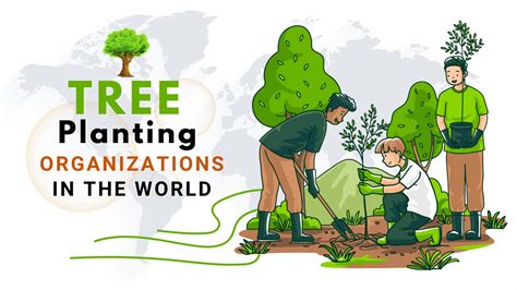 tree planting non profit organizations|Plant a Billion Trees .